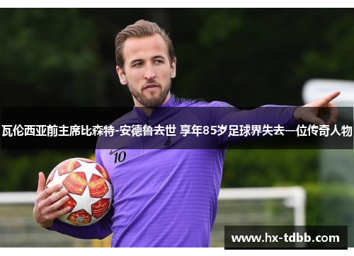 瓦伦西亚前主席比森特-安德鲁去世 享年85岁足球界失去一位传奇人物