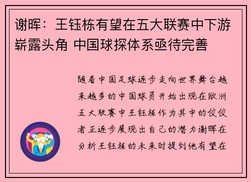 谢晖：王钰栋有望在五大联赛中下游崭露头角 中国球探体系亟待完善